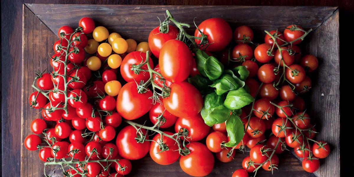 Massor av olika tomater utspridda på ett mörkt ekbord
